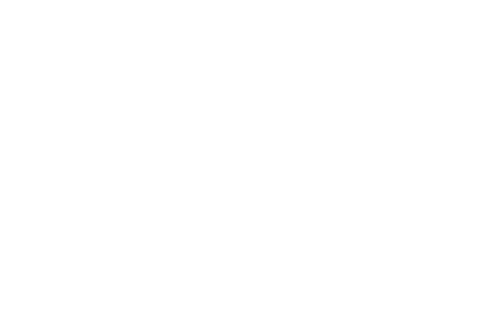 ElitePhase Electric